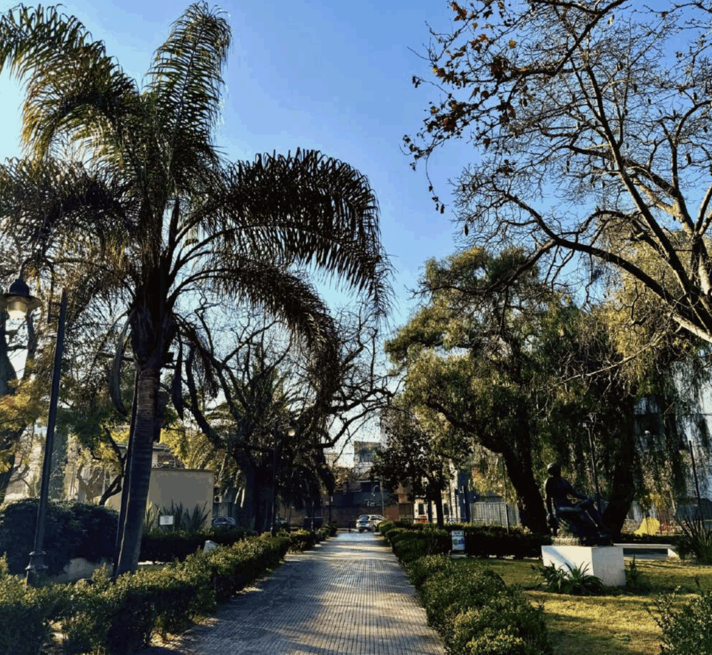 Captura de pantalla 2025 08 04 a la(s) 16.29.56